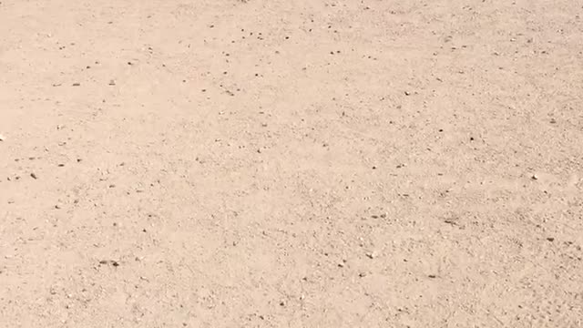 Rip Salado USPSA match 6/14/20