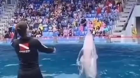 Girl playing with whale