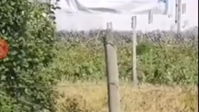 Canada Qurantine Camp