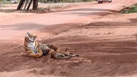 Fake tiger prank dog and how can I stop laugh funny 🤣🤣🤣