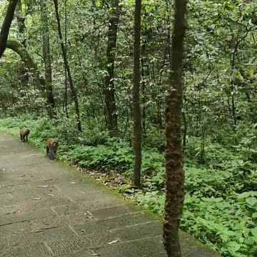 Nature and Wildlife 22