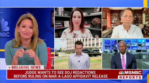 'We Are On A Precipice': MSNBC Host Frets Trump Will Avoid Charges After Mar-a-Lago Raid