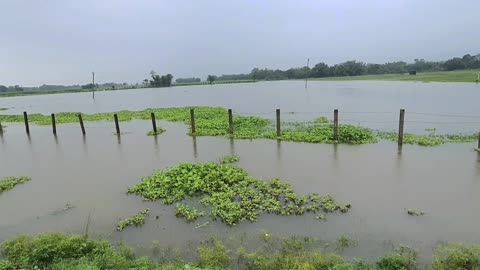 Barish ka pani