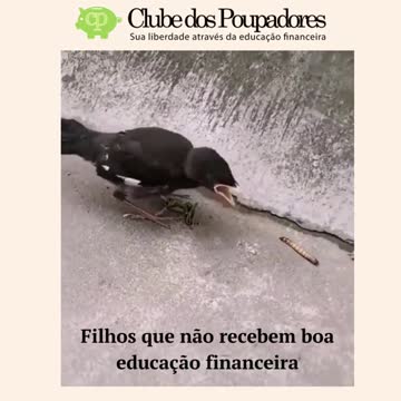 Filhos adultos sem educação financeira sustentados pelos país