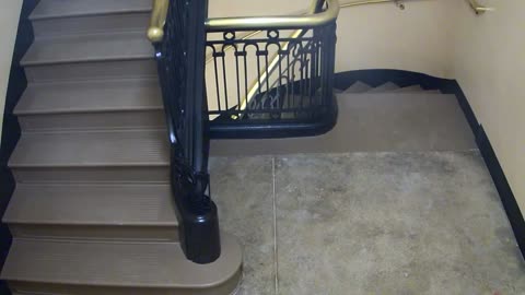 5189CHOB04Stair3_2021-01-06_18h40min03s227ms.mp4