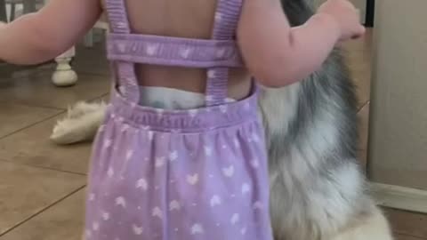 The little girl hugs her best friend