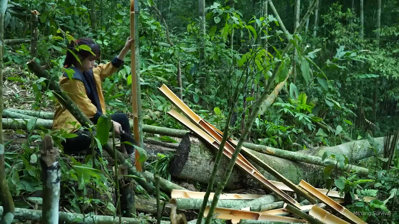 live wild in shelter, picking a lot of giant bamboo shoots and processing it - bushcraft survival