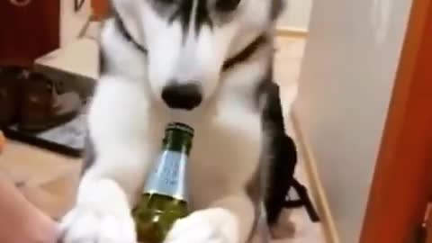 That's a twist 😀