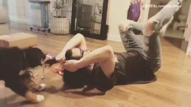 Dog hates man buns