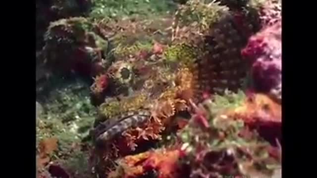 Time with God - October 11