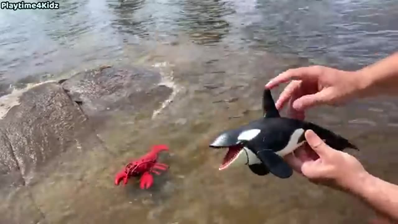 Sea Animal Toys This Summer at the Shore