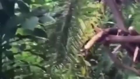 Random memes part 4 - Memes For You #Shorts