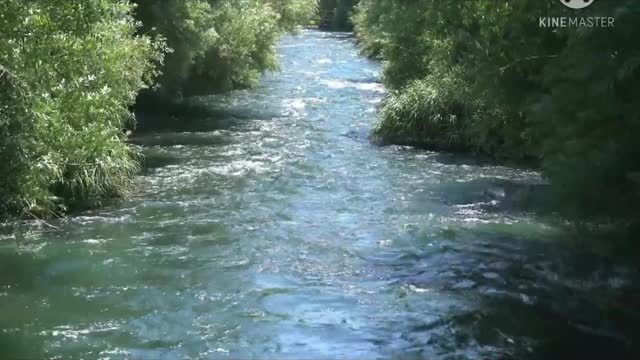 Relaxing Music and beautiful nature videos