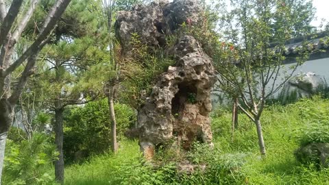This rockery is beautiful, it was shipped from Brazil.
