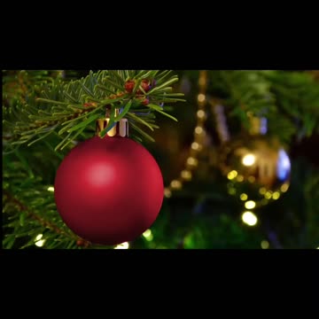 Merry Christmas Everyone!!