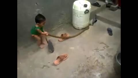 baby playing with real snake!!