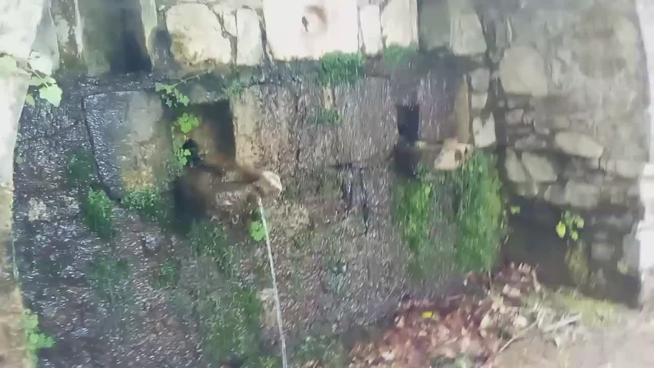 ΝΑ ΖΗΤΆΜΕ ΤΗΝ ΧΑΡΗ ΤΟΥ ΑΓΙΟΥ ΠΝΕΥΜΑΤΟΣ