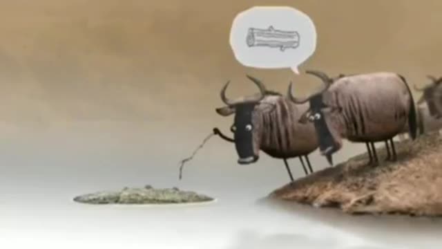 Experience is not always the best Teacher, but wisdom... (Proverbs 4:10-11)