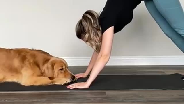 Dog and girl in joy