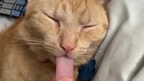 sleeps like a dead man🤣🤣