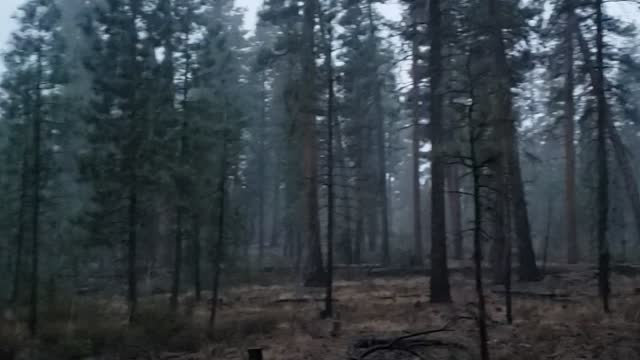 Snow in pondo