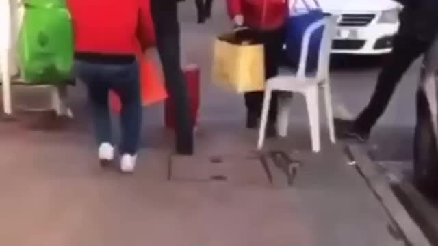 Funny Videos : Best Dog Prank of Century... 😂😂