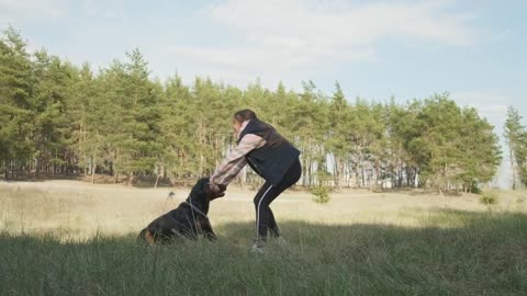 Little girl plays with her dog on the grass