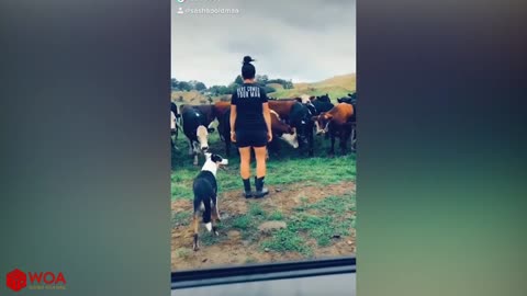 FUNNIEST ANIMAL