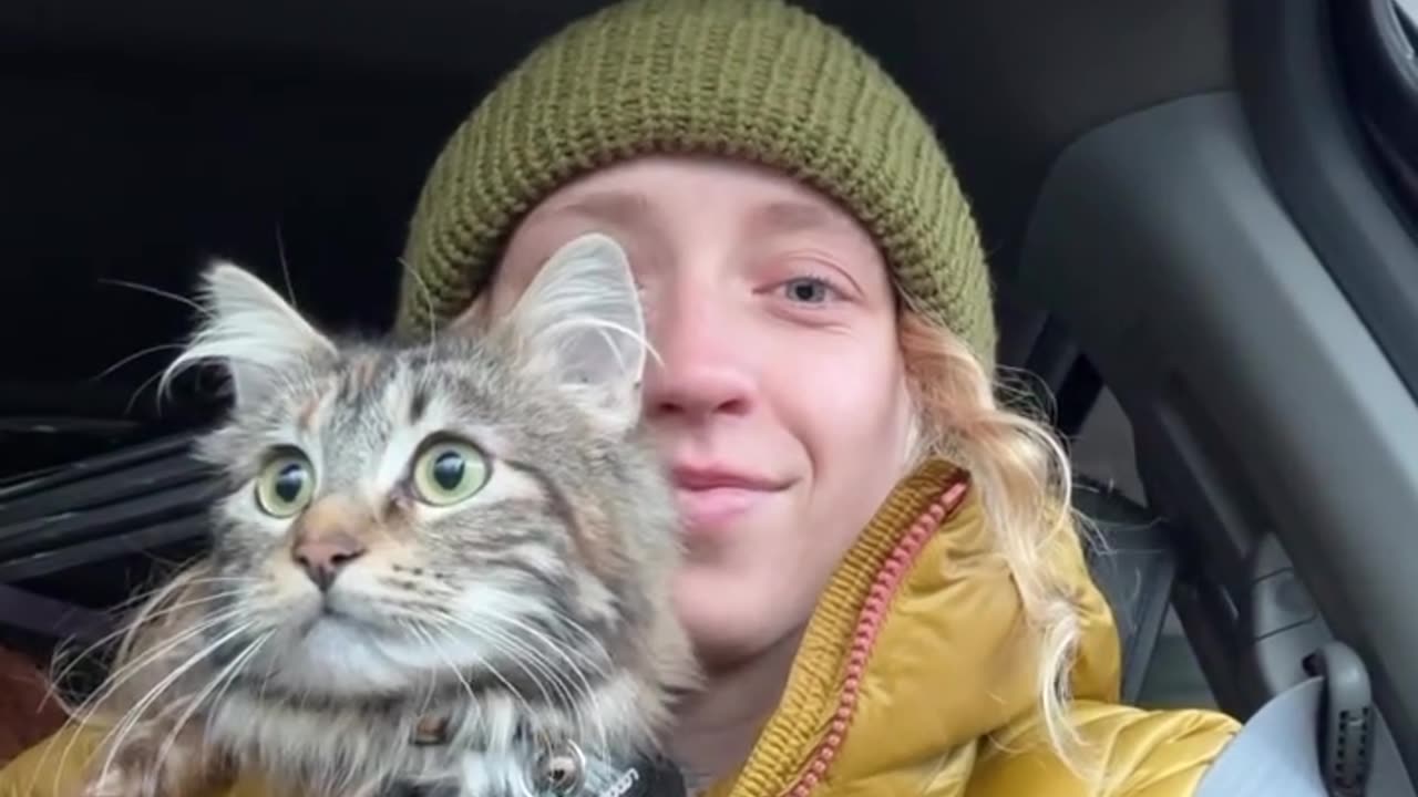 POV: you're a cat and live in a truck camper