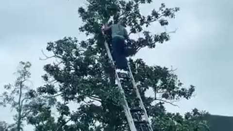 Kid Rescued From a Very Tall Tree!! #waah #rescue #happyending
