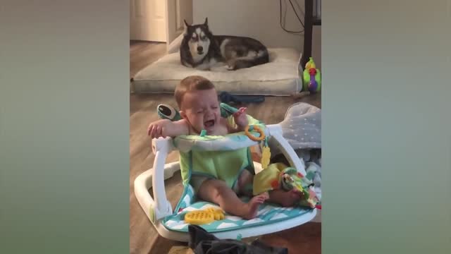 Cute Babies Playing With Dogs Compilation