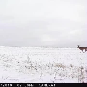 Opening day of Rifle Season 2018