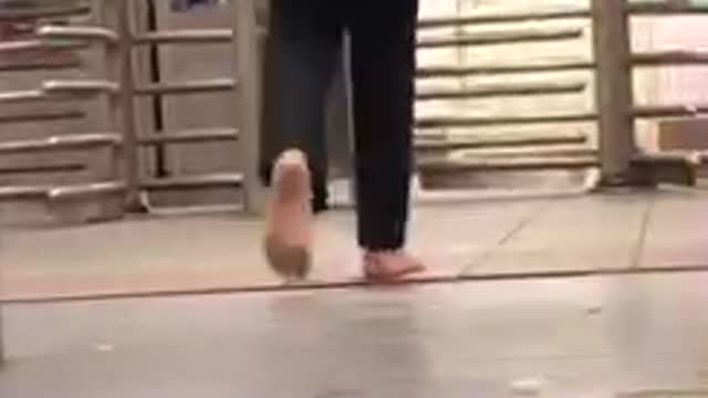 Business woman barefoot on escalators