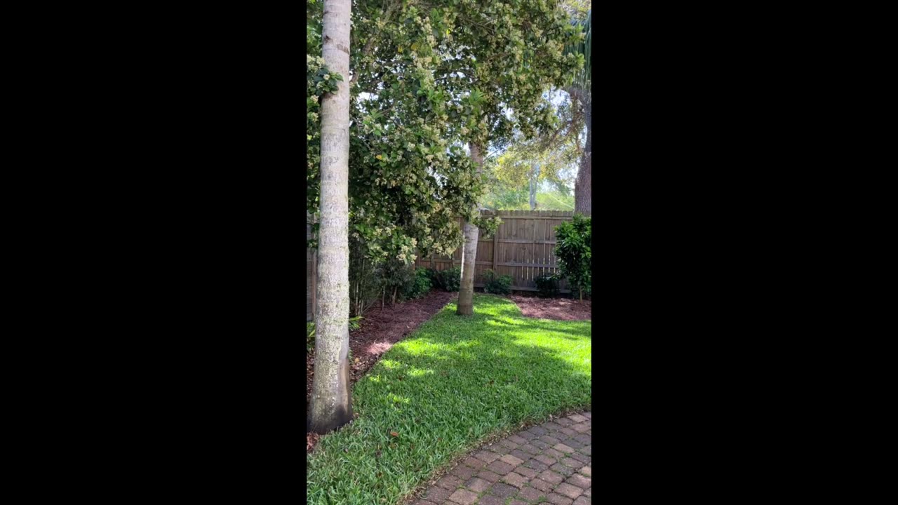 Saint Augustine Beach Garden