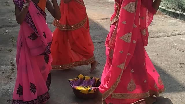 Chattisgarh cultural dance in India (parrot dance)