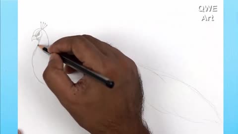 Draw The Peacock's Head And Neck