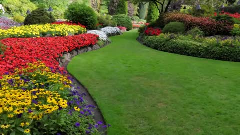 Matias Landscaping And Design - (919) 464-3392