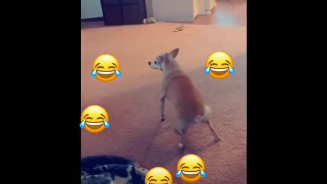 Funny 🤣😀🤣 video 😂