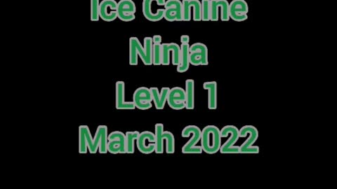 Tindrah Ice Canine Ninja Level 1 March 2022 ☘️Green obstacles☘️
