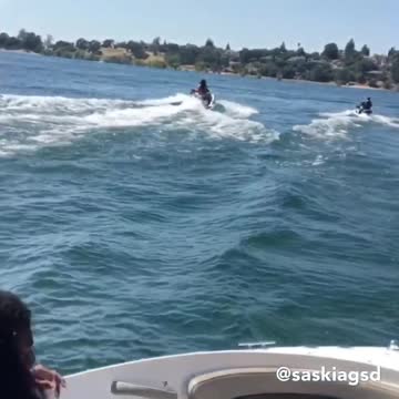 Cachorro de Ovejero Alemán adora andar en Jet Ski