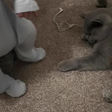 Sweet kitty gently plays with baby's feet