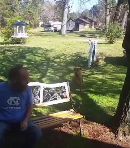 Dog doesn’t recognize owner after a weight loss .. until he sniffs him 😳