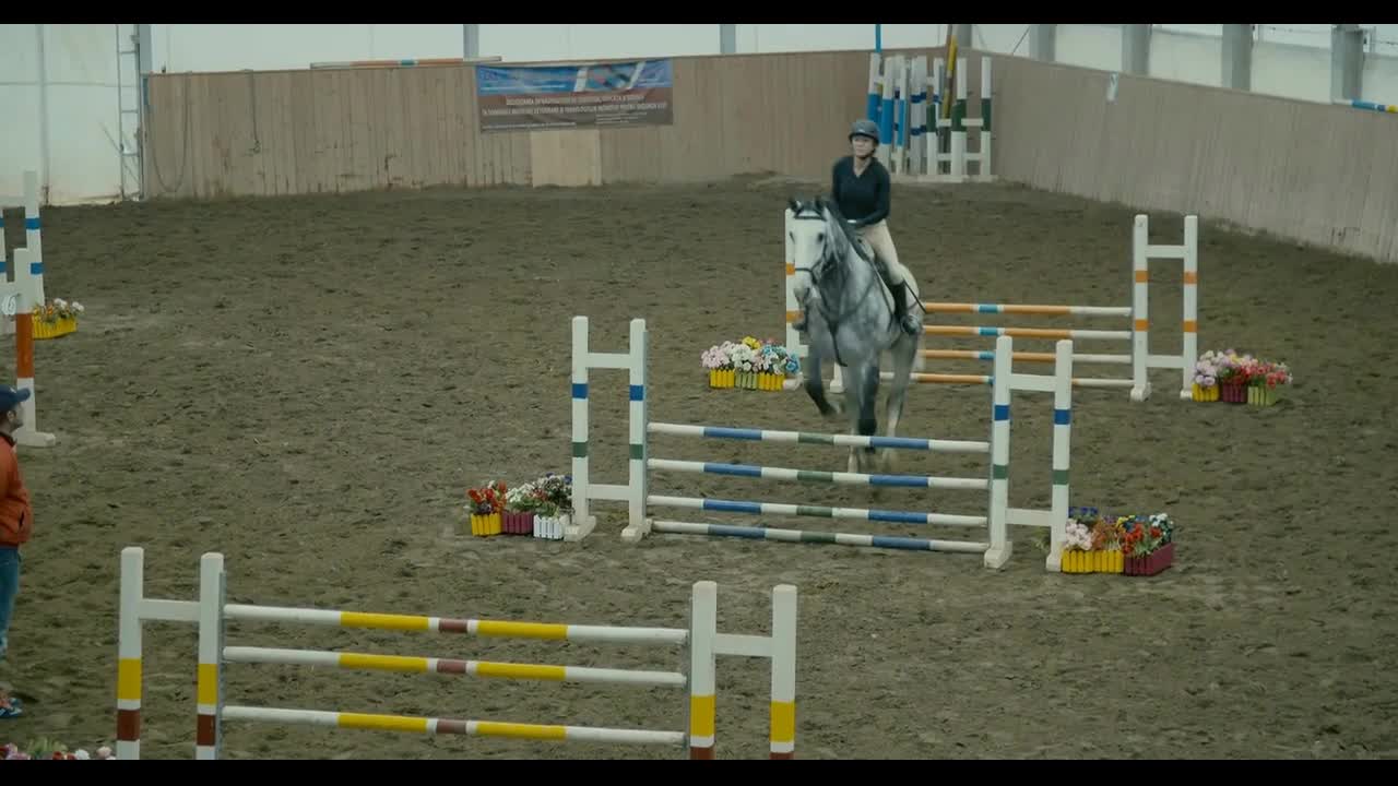 Horse at jumping competition