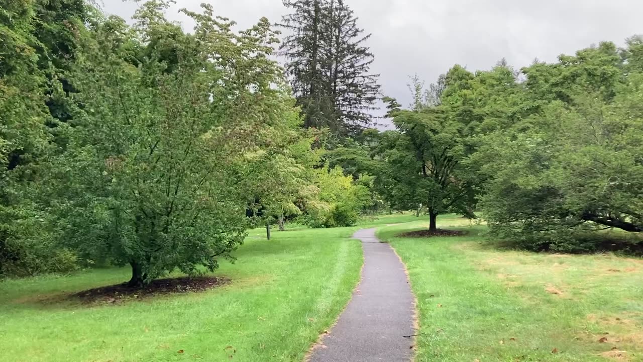 Lasdon Mansion, Park, & Arboretum (Somers, NYS) 7