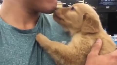 So Cute Puppy | makes your day