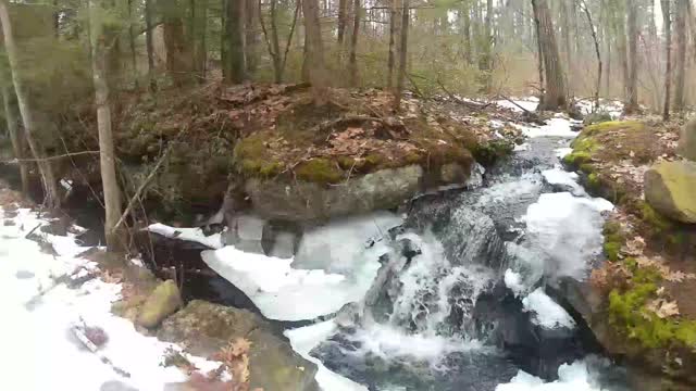 UpNorth- Mason Rail Trail Part 1 (Pratt Pond to Russell Rd)