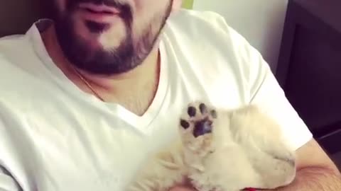 Brown puppy being held by man in white shirt