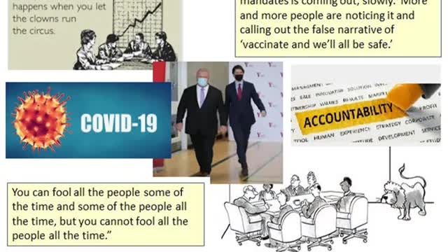 Covid Accountability is on route