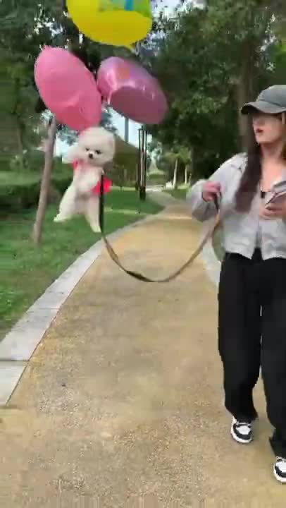 So many cute kittens videos compilation 2022