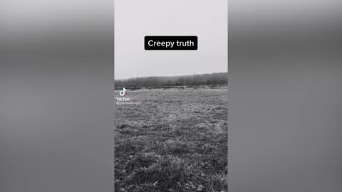 Tiptoe Through The Tulips creepy TikTok trend Part 5